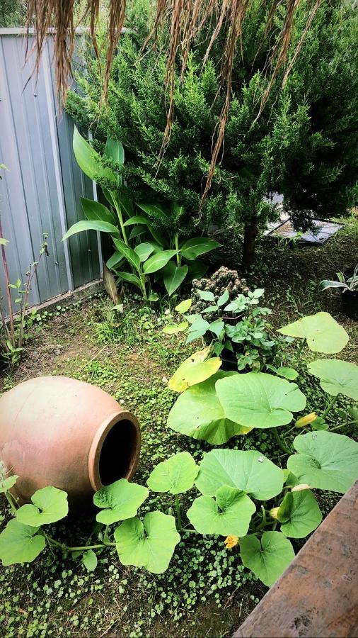 Lovely Villa 乌雷基 外观 照片